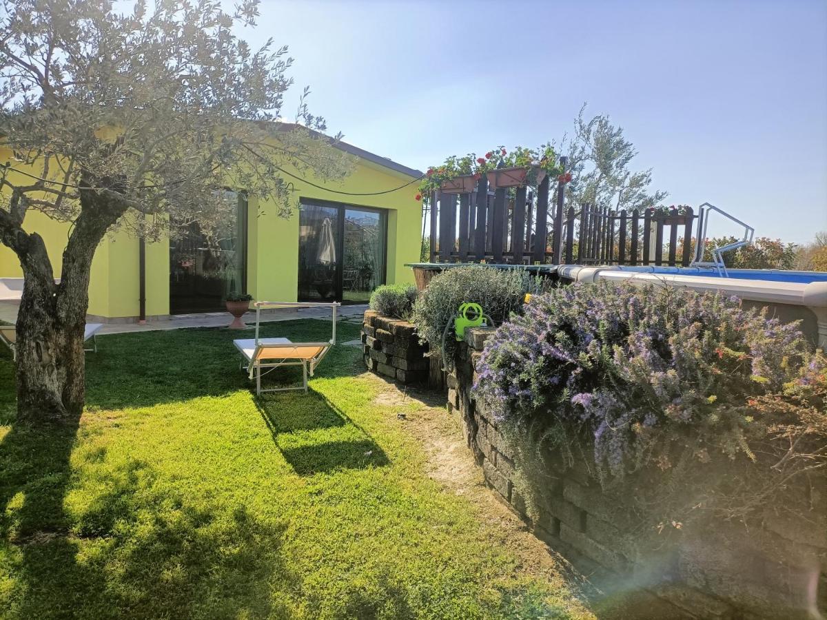 Apartament La Casina Di Campagna Foiano Della Chiana Zewnętrze zdjęcie